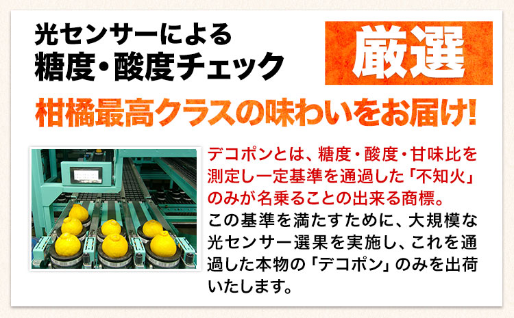 ご家庭用 デコポン デコポン約2.5kg前後(約6-12玉前後)《4月上旬-5月上旬頃出荷》不知火 熊本県産 熊本県 長洲町 糖度13度以上---ng_cdeko_ad4_r8_9500_25k---
