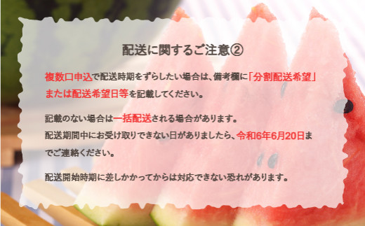 先行予約 尾花沢産スイカ 金色羅皇 4Lサイズ 約9kg×1玉 8月上旬～8月中旬頃発送 令和6年産 2024年産 