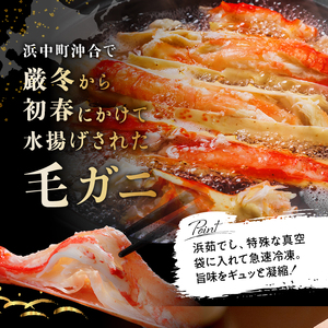北海道産 毛ガニ1杯(700～730g)_H0001-1311