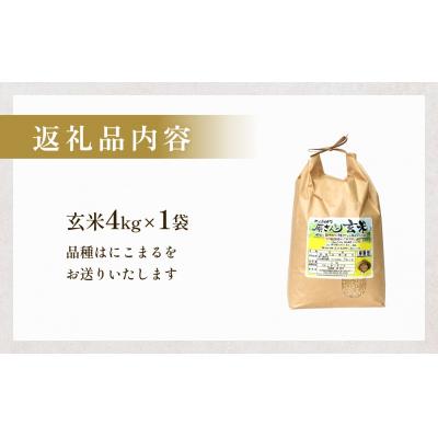 ふるさと納税 玖珠町 【令和8年産米先行受付】原さんちのお米 玄米 4kg にこまる 米 お米 こめ コメ ご飯 |  | 03