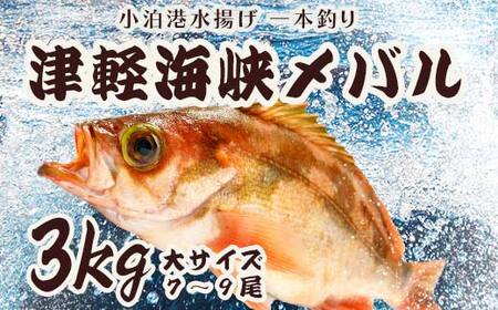 小泊港水揚げ 一本釣り 津軽海峡メバル 約3kg（7尾～9尾入） 【卓立水産】 F6N-033