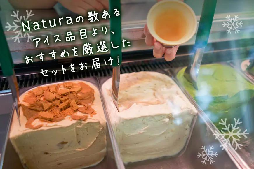 アイス ナチューラのアイスクリーム コンプリート 12個入り [ナチューラ 徳島県 北島町 29am0010]