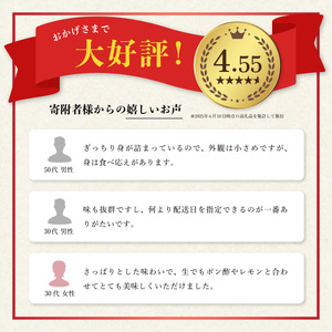 先行予約 あまべ牡蠣 44個 牡蠣 シングルシード 生食用 殻付き かき カキ オイスター 生ガキ 生牡蠣 生がき 生かき ギフト 貝 旨味 【2025年12月発送】