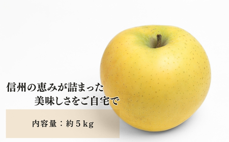 【2025年先行予約】りんご シナノゴールド 12〜20玉 約5kg ｜ りんご りんご りんご りんご りんご りんご