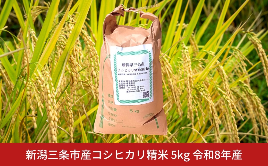 
                  先行予約 新潟三条市産コシヒカリ精米 5kg 令和8年産 こしひかり新潟県産コシヒカリ【017S151】
                