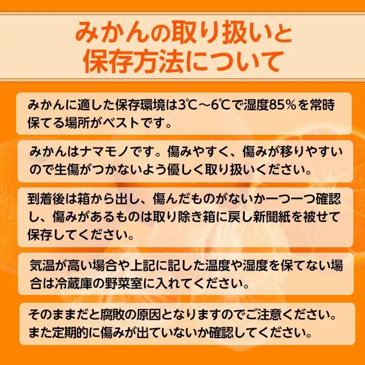 【先行予約】【ご家庭用】和歌山有田みかん約7kg(2L、3Lサイズ) ｜ みかん