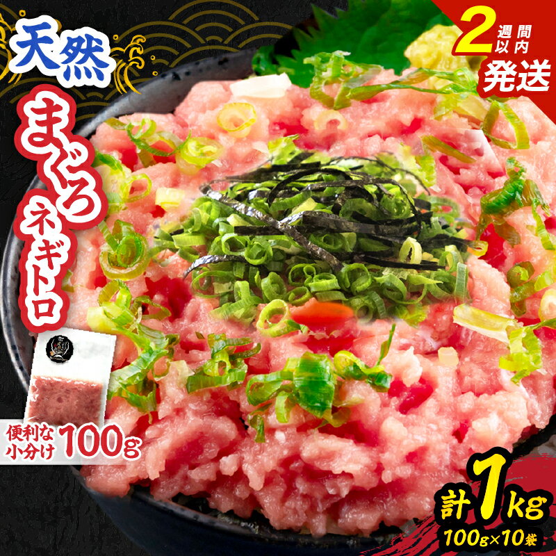 【ふるさと納税】日南市油津港水揚げ 天然 まぐろ ネギトロ 計1kg 魚 魚介 マグロ 鮪 赤身 maguro 小分け 食品 加工品 国産 キハダマグロ まぐろたたき 個包装 おかず ねぎとろ丼 海鮮丼 手巻き寿司 おつまみ 冷凍 おすすめ 海産物 海鮮 宮崎県 日南市 送料無料