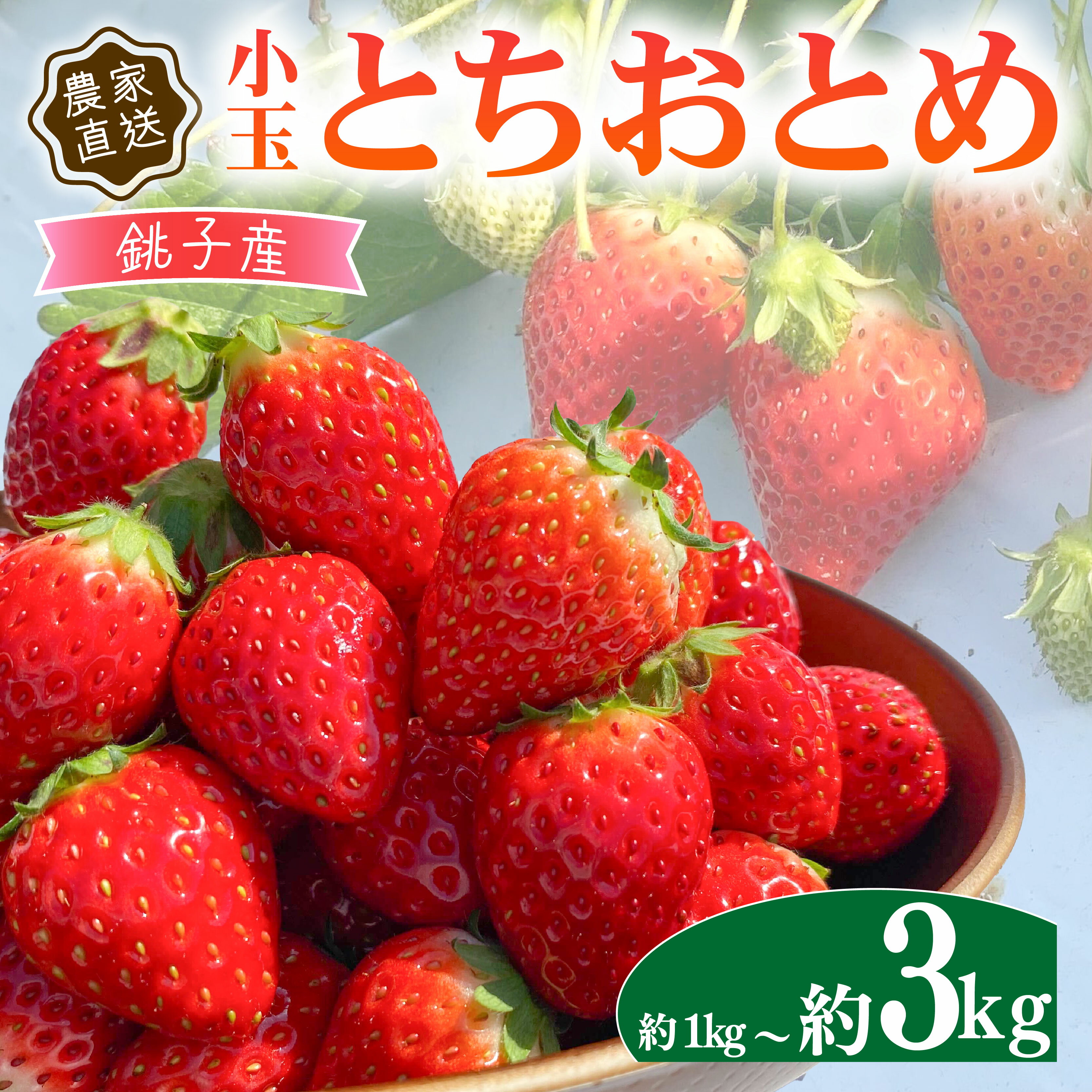 【ふるさと納税】 いちご 約1kg-約3kg とちおとめ 小玉 250g × 4パック