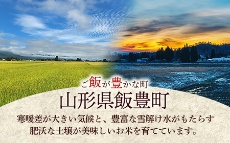 マイスターがつくる　はえぬき　白米　10kg（飯豊町産）(R7年産）【価格改定】