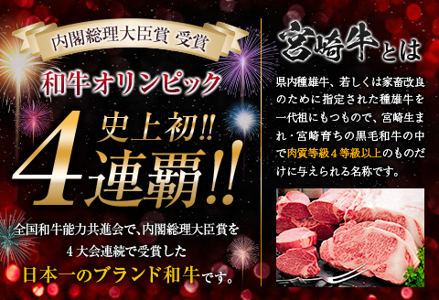 ANA限定 数量限定 宮崎牛 ヒレステーキ 計300g 肉 牛 牛肉 国産 黒毛和牛 ブランド牛 ヒレ ステーキ 人気 赤身 KOO評価★日南市_EA12-23