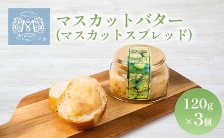 マスカット バター （ マスカット スプレッド ）120g×3個 果物 ぶどう フルーツ バター