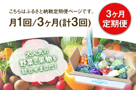 【3か月定期便】旬の新鮮野菜・果物詰合せセット (計3回お届け)たっぷり8-12品目 熊本県氷川町産 道の駅竜北《お申込み月の翌月から出荷開始》