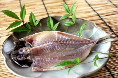 山陰浜田 創業大正10年香住屋のこだわり干物「どんちっちあじ一夜干し」魚介類 干物 おつまみ おかず あじ 一夜干し 【024_1992】