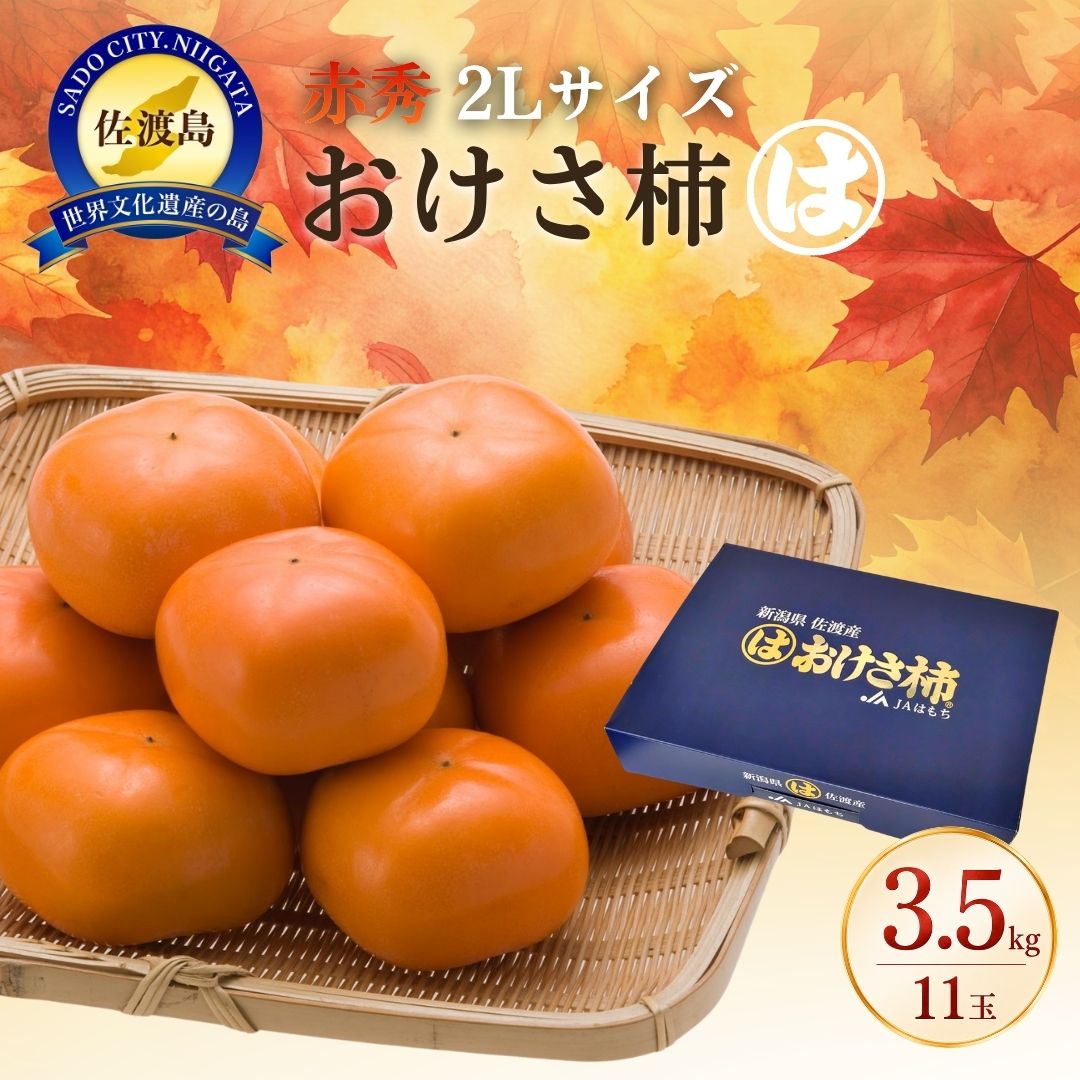 【ふるさと納税】【先行予約】柿 おけさ柿 高級 赤秀 2Lサイズ 11玉 種なし 化粧箱入