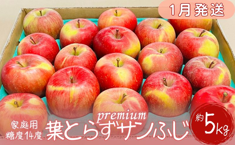 
【1月発送】訳あり 家庭用 プレミアム葉とらずサンふじ蜜入り 約5kg【糖度14度保証】【青森りんご・マルコウアップル】
