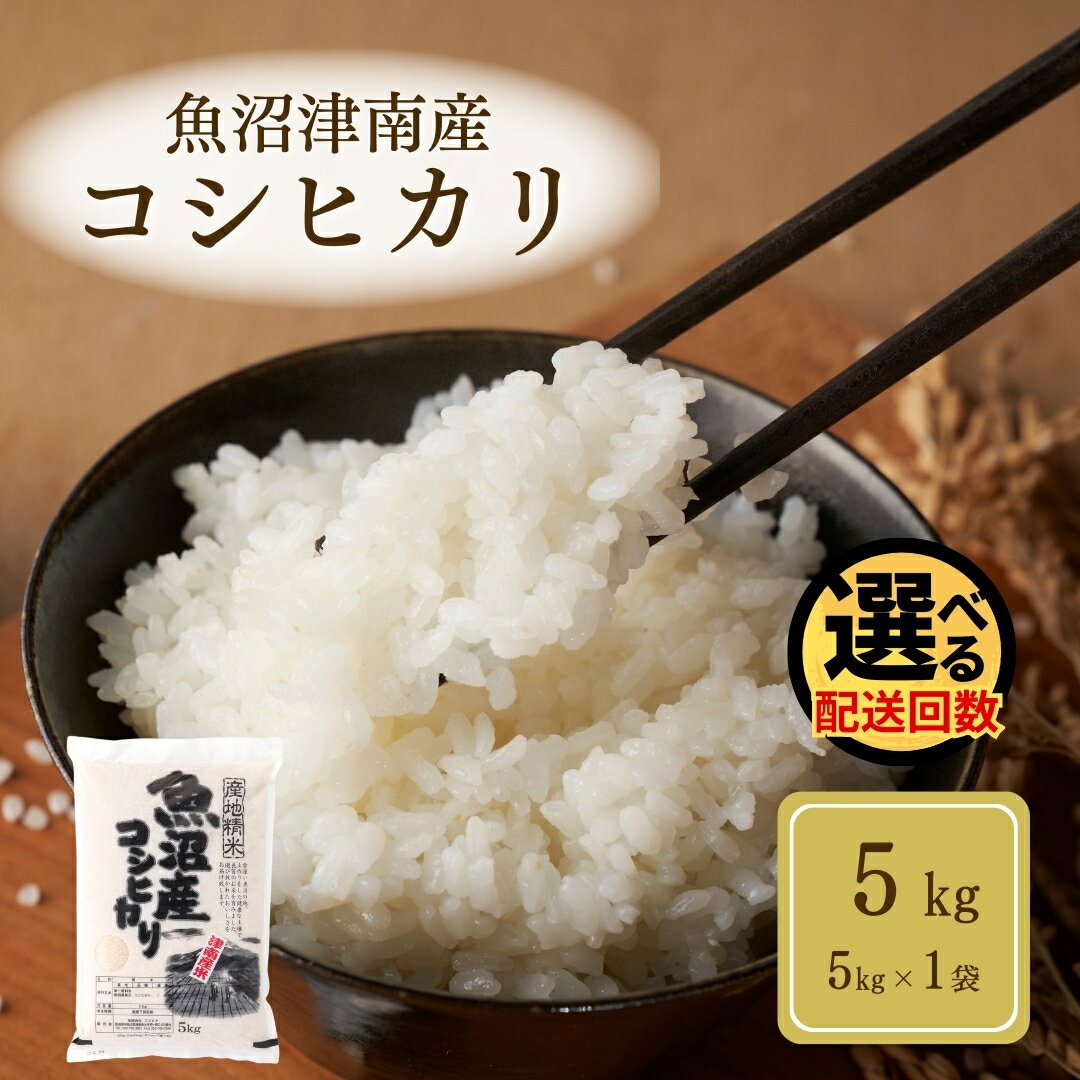 【ふるさと納税】 米 5kg 令和7年産 魚沼 ( 津南 ) 産 コシヒカリ | 魚沼産 こしひかり お米 おこめ こめ コメ ご飯 ごはん ブランド米 おすすめ 人気 ギフト プレゼント 新潟県 津南町