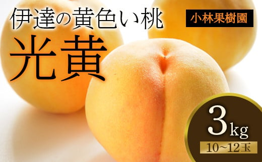 
            福島県産 光黄 3kg 2025年8月上旬～2025年8月下旬発送 2025年出荷分 先行予約 予約 大玉 黄桃 伊達の桃 桃 もも モモ 果物 くだもの フルーツ 国産 食品 F20C-589
          