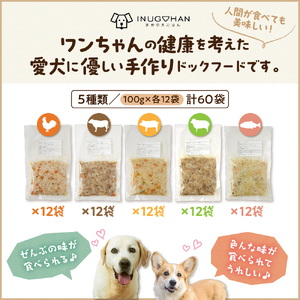 ワンちゃん用おじや30日間セット（100g）