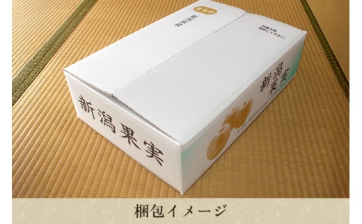 【2026年先行予約】和梨 豊水 5kg（8～14玉）《9月上旬～順次出荷》果物 なし ほうすい 梨 フルーツ 新鮮 ジューシー 産地 加茂市 樋口農園