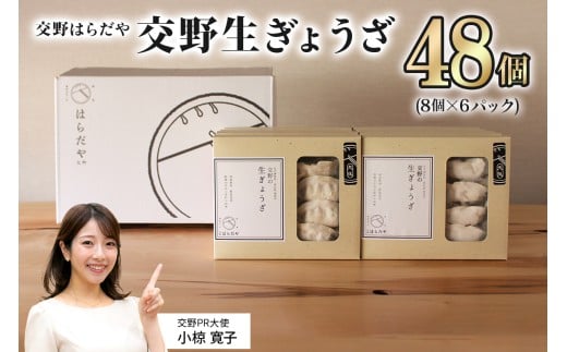 交野はらだや《交野生ぎょうざ／48個》冷凍餃子｜お取り寄せ 旨味調味料保存料無添加 薄皮 野菜たっぷり 国産野菜 国産豚肉 [0050]