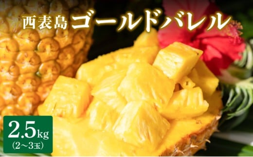 高級感No.1！開発に30年・栽培に3年。パイナップルの最高峰ゴールドバレル2.5kg(2〜3玉)