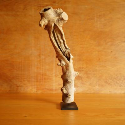 ふるさと納税 屋久島町 【屋久島の流木】中サイズ　タイプ2 |  | 02