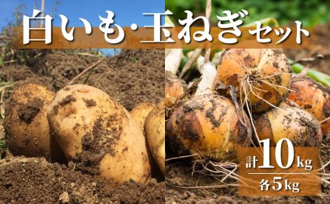 【先行受付2025年発送予定】白いも(M?Lサイズ）と玉ねぎ（L?2Lサイズ）各5・｜じゃがいも【数量限定】詰め合わせ※2025年8月下旬～10月下旬に順次発送予定※着日指定不可