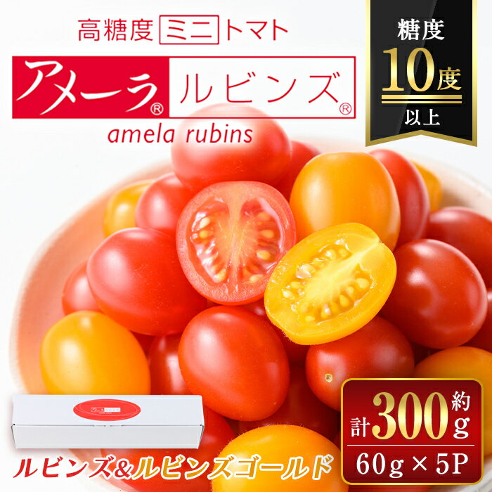【ふるさと納税】アメーラルビンズ ＆ ルビンズゴールド 5パック入り 合計約300g | 1パック 約60g 2種 食べ比べ セット 糖度10度以上 高糖度 ミニトマト トマト とまと 詰め合わせ 野菜 食品 名産 特産品 お取り寄せ 静岡県 小山町