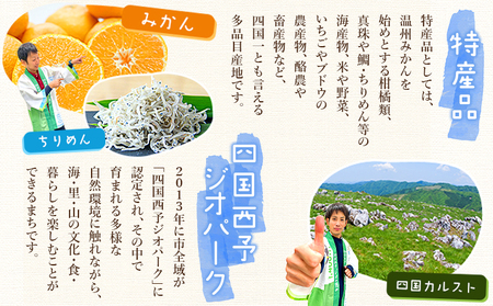 ＜ファンケル 1日分のケール 6回定期便＞ 緑黄色野菜 濃縮野菜 無添加 ミネラル農法 化学農薬不使用 飲料 飲み物 小分け 特産品 グリーンヒル ファンケル FANCL 愛媛県 西予市【常温】『お申