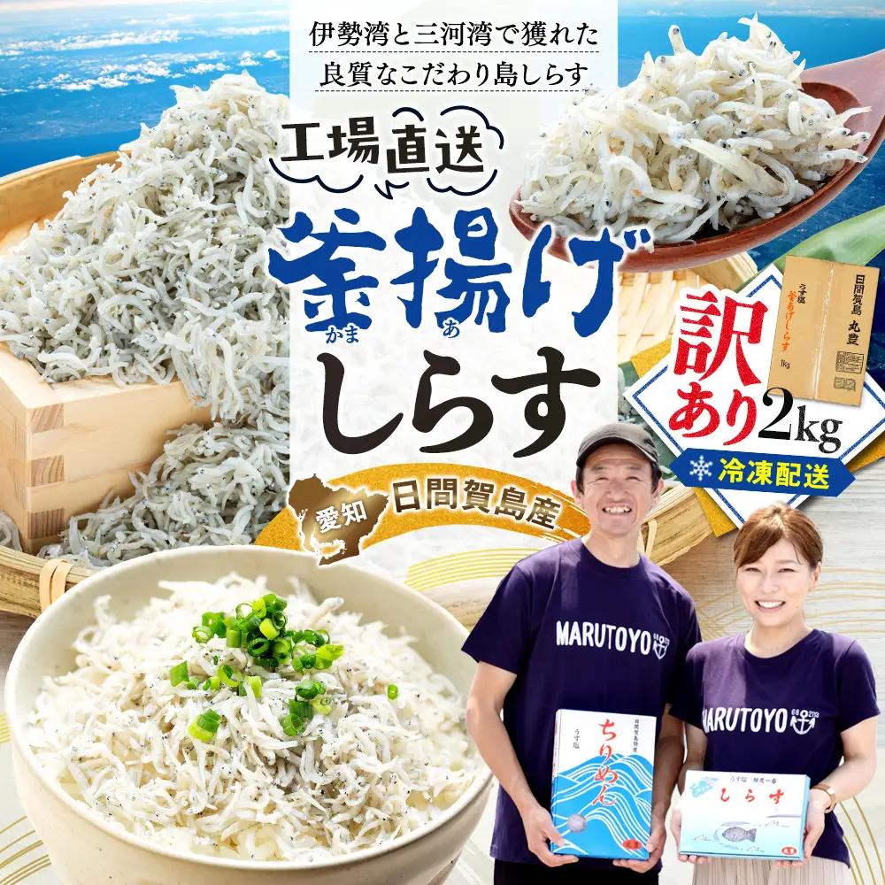 訳あり 釜揚げしらす 2kg 冷凍 愛知県南知多町 日間賀島