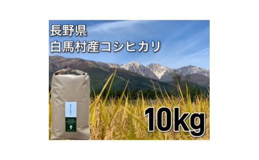 白馬産コシヒカリ白米10kg【1484001】