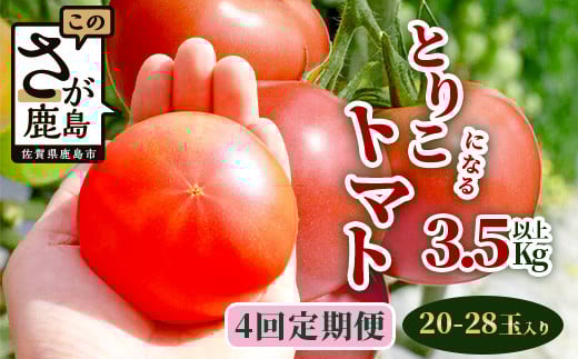 【開始月が選べる】定期便 4回 とりこになるトマト 3.5kg以上 たにぐちファーム Ricotomato | トマト 野菜 定期便 4ヶ月 4か月 定期 とまと リコピン 旬 やさい 季節 JGAP認証取得 ふるさと 人気 佐賀産 佐賀県 鹿島市 鹿島産 年4回発送 送料無料 D-160