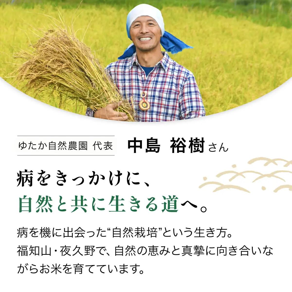 米 精米 令和8年産 先行予約 やくの自然栽培米 亀の尾 7分づき 10kg ゆたか（ゆたか自然農園）