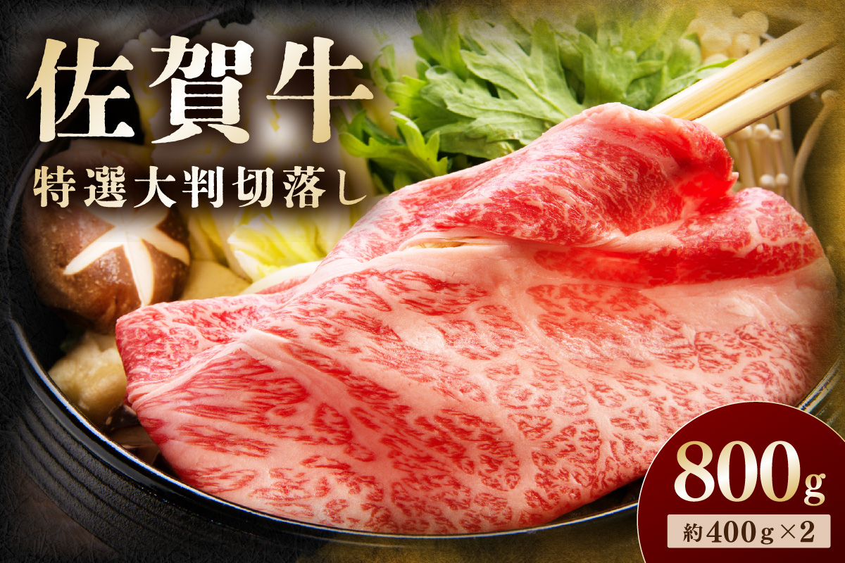 佐賀牛 特選大判切落し 800g 194-J1902
