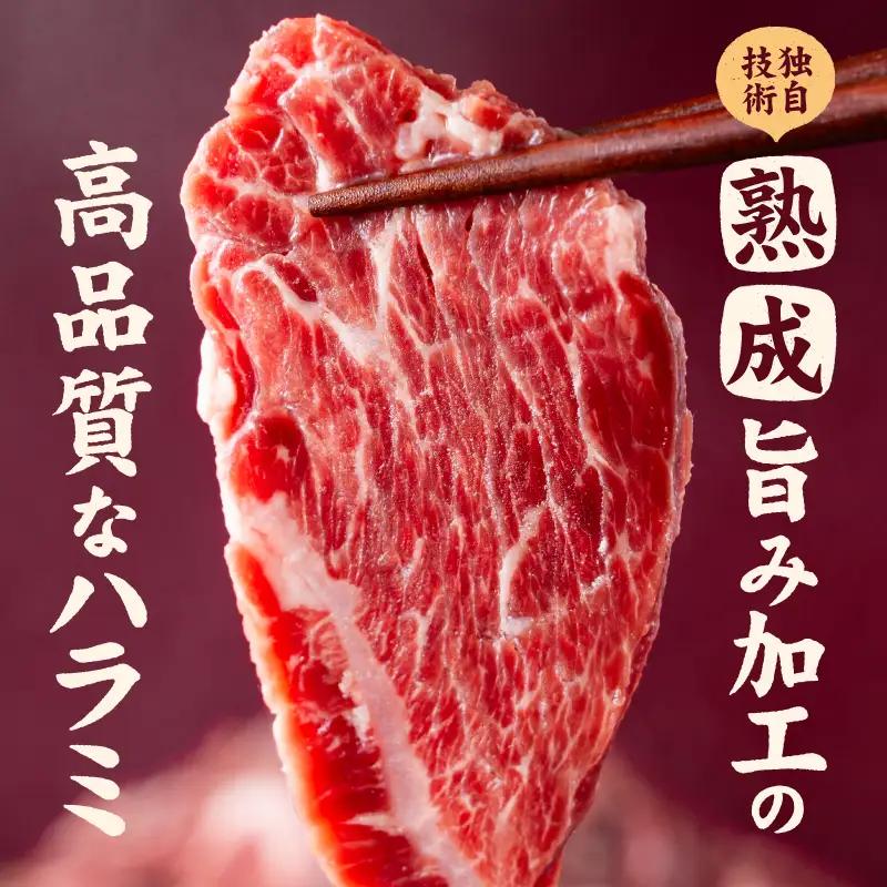 【ハラミ】 熟成旨み牛やわらかハラミカット 3kg はらみ 愛媛県 松山市 【NGB0031】