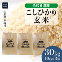 【ふるさと納税】＜令和6年産米＞ 大蔵村 コシヒカリ ＜玄米＞ 30kg 定期便（10kg×3回お届け）