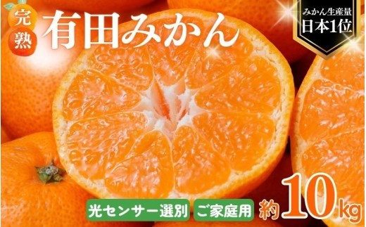【2027年1月発送予約分】＼光センサー選別／ 農家直送 こだわりの 完熟 有田みかん 約10kg＋150g(傷み補償分) 【ご家庭用】有機質肥料100% 有田みかん みかん ミカン 蜜柑 柑橘 果物 フルーツ 甘い 温州みかん 先行予約 【nuk101-01A】