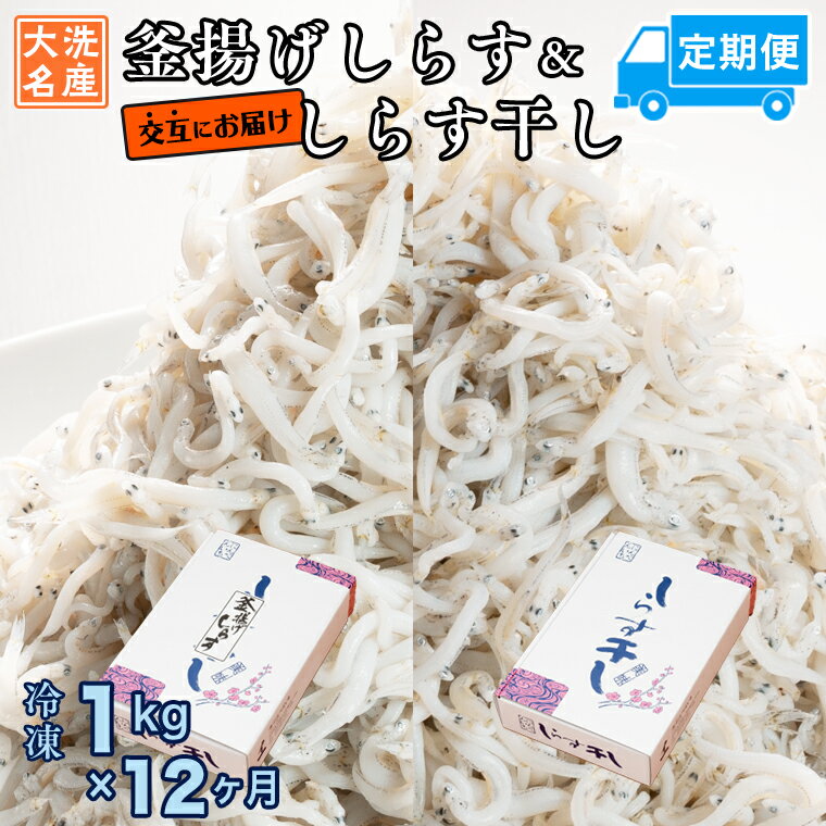 【ふるさと納税】釜揚げしらす しらす干し 交互 定期便 (1kg×12か月) 天然 ふっくら 大洗 名産 しらす シラス 魚 さかな 魚介 離乳食