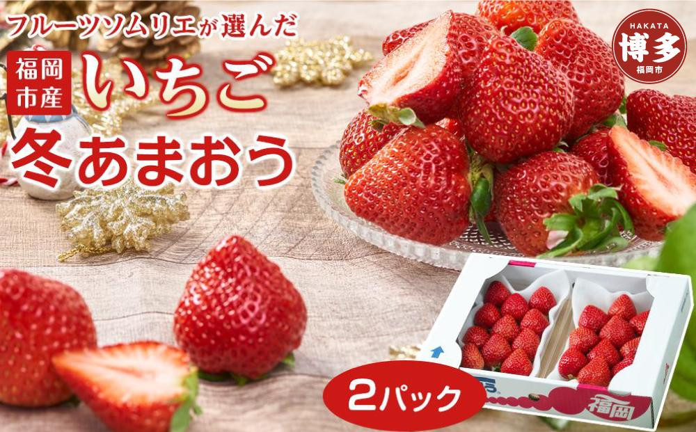 フルーツソムリエが選んだ 福岡県産冬あまおう２パック※
