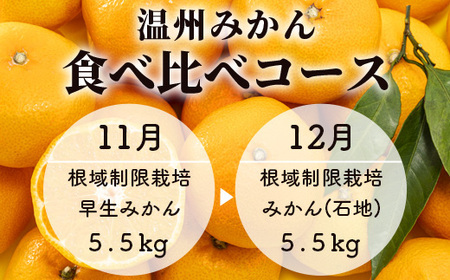 【平倉果樹園】 【先行予約】 平倉果樹園みかん食べ比べコース（毎月1回約5.5kg×2ヶ月お届け） ふるさと納税 みかん 定期 ミカン フルーツ 果物 くだもの 極早生 ゆら 早生 根域制限栽培 蜜柑