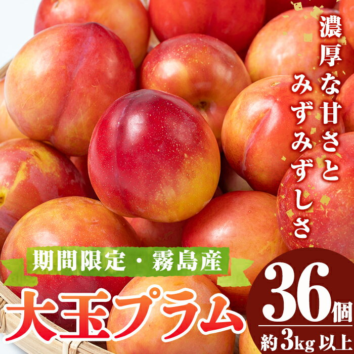 【ふるさと納税】＜期間限定！2026年5月下旬～6月下旬の間に発送予定＞大玉プラム(36個・約3kg以上) 国産 果物 フルーツ 果実 プラム すもも スモモ ギフト【福岡果樹園】