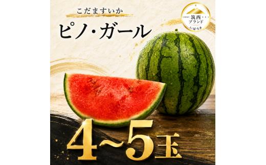 【 JA北つくば 】 極シャリ食感 ！ こだますいか 「 ピノ・ガール 」 4～5玉 2026年産 小玉すいか 小玉 すいか スイカ 果物 フルーツ ピノガール 西瓜 くだもの デザート 茨城