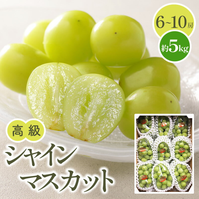 【ふるさと納税】高級 シャインマスカット 約5kg【2026-7月下旬～2026-8月下旬配送】 | マスカット 果物 フルーツ ぶどう