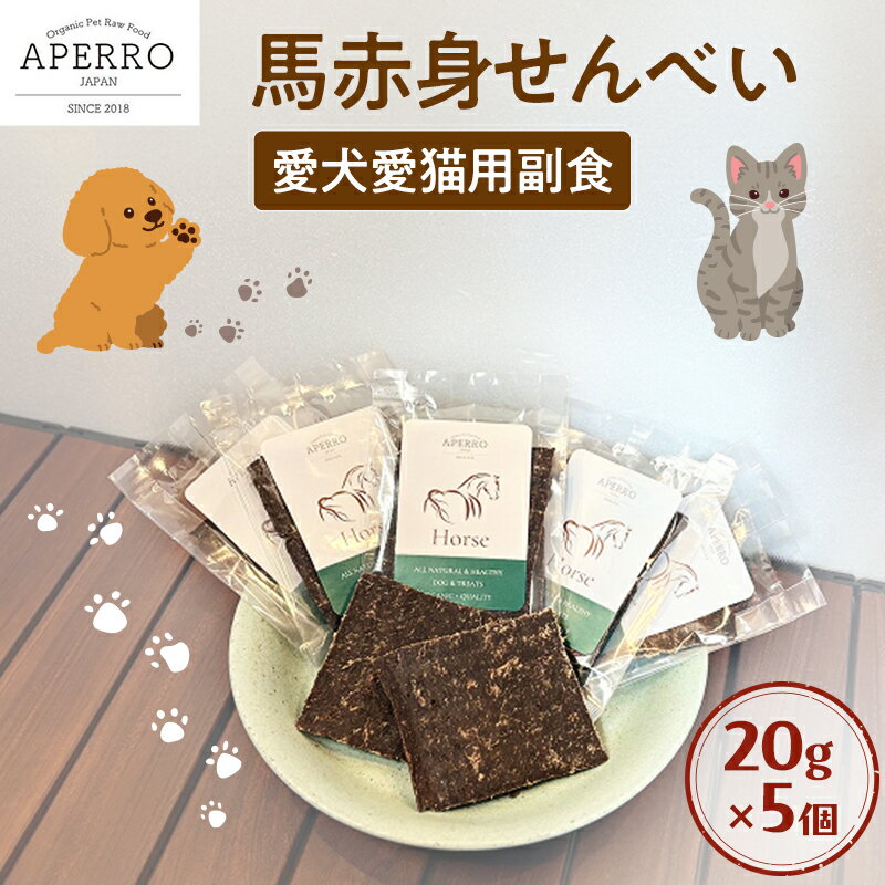【ふるさと納税】愛犬愛猫用副食 馬赤身せんべい 20g×5個 ペット ペット用おやつ ペットフード 愛犬 愛猫 わんちゃん ねこちゃん 犬 猫 馬肉 ご褒美