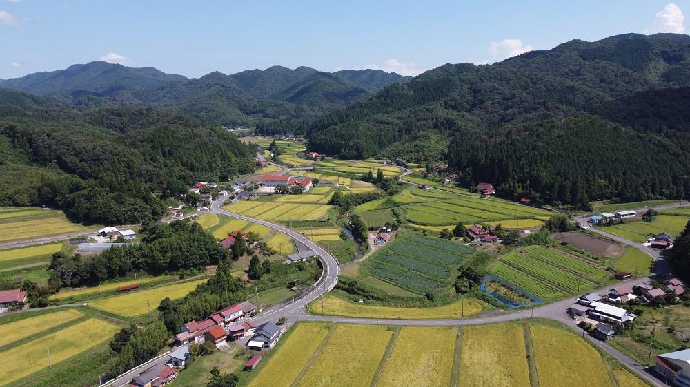 【新米】島根県飯南町産こしひかり(2kg×4袋) ×6回 【 米 コシヒカリ ブランド米 小分け 便利 贈答用 プレゼント 精米 玄米 選択可能 D-65 】