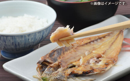 三浦半島 極上アジ干物 16枚  干物 干物 干物 干物 干物 干物 [AKAJ022]