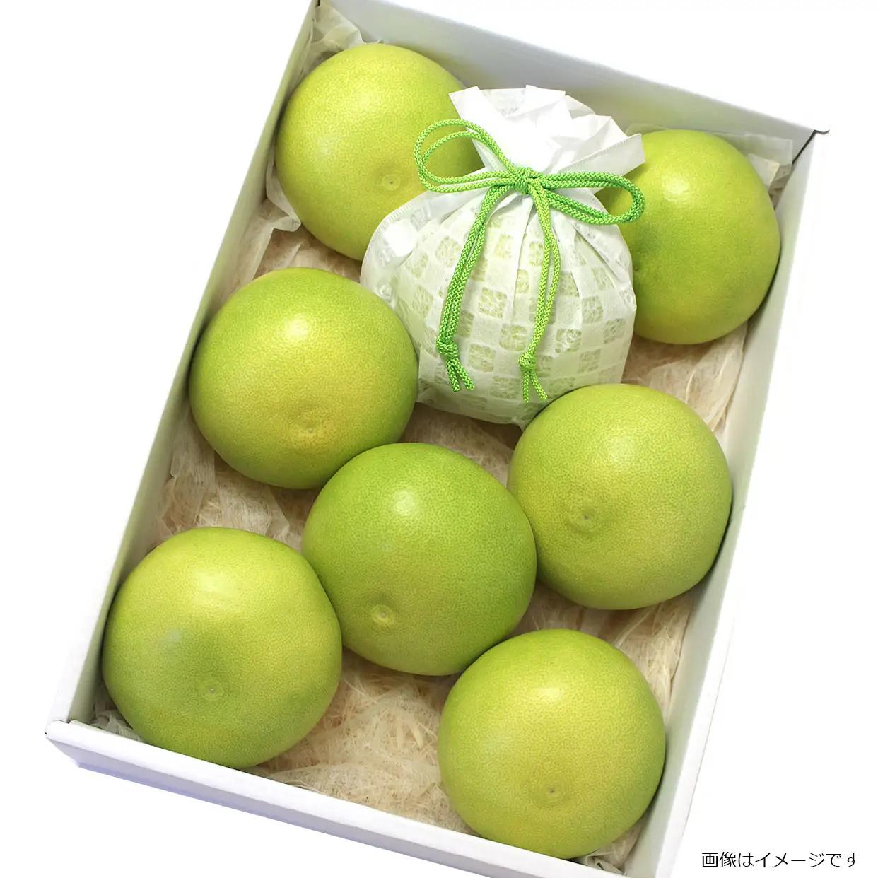 【先行予約】高知県土佐市産 水晶文旦 特選ご贈答用 特大7個もしくは大玉8個入り 高知県土佐市 【株式会社SHIRAKI】 [BQAI018]