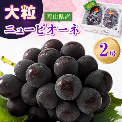 【2026年発送分】岡山県産 大粒 ニューピオーネ 2房セット (1.2～1.5kg)【配送不可地域：離島】