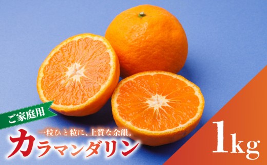 【2027年4月中旬から順次発送】南津海・カラマンダリン お試し 1㎏ サイズ混合 家庭用 B品 | 柑橘 松山市産ミカン みかん 果物 くだもの ミカン 蜜柑 フルーツ おすすめ 小玉みかん お取り寄せみかん 期間限定 数量限定 ご当地 愛媛県 松山市 蓮果園