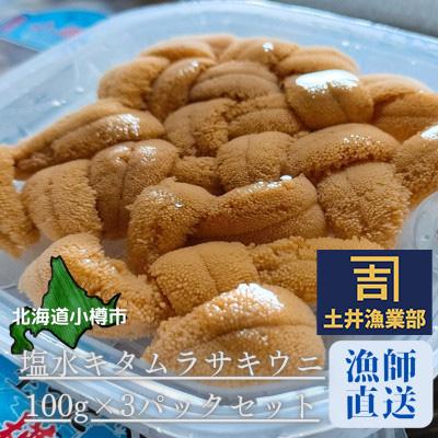 ふるさと納税 小樽市 北海道小樽市[漁師直送]塩水キタムラサキウニ100g×3パック 【2026年5月下旬より発送】